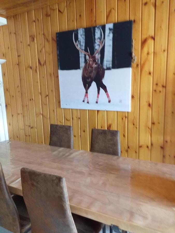 Chalet Plein Sud モンジェネヴル エクステリア 写真