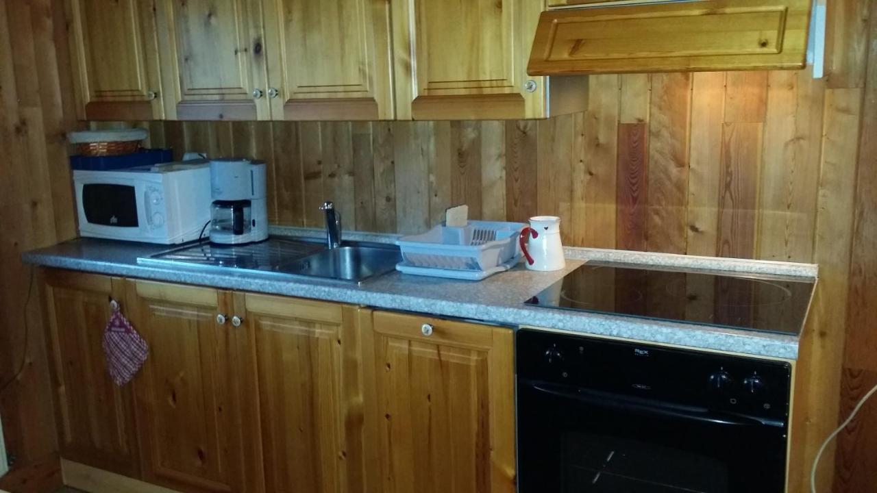 Chalet Plein Sud モンジェネヴル エクステリア 写真